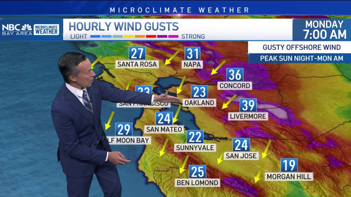 Rob’s forecast: gusty wind and elevated fire danger to start Monday ...