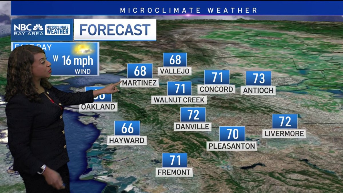 Bay Area forecast: Cool week, spotty light rain – NBC Bay Area