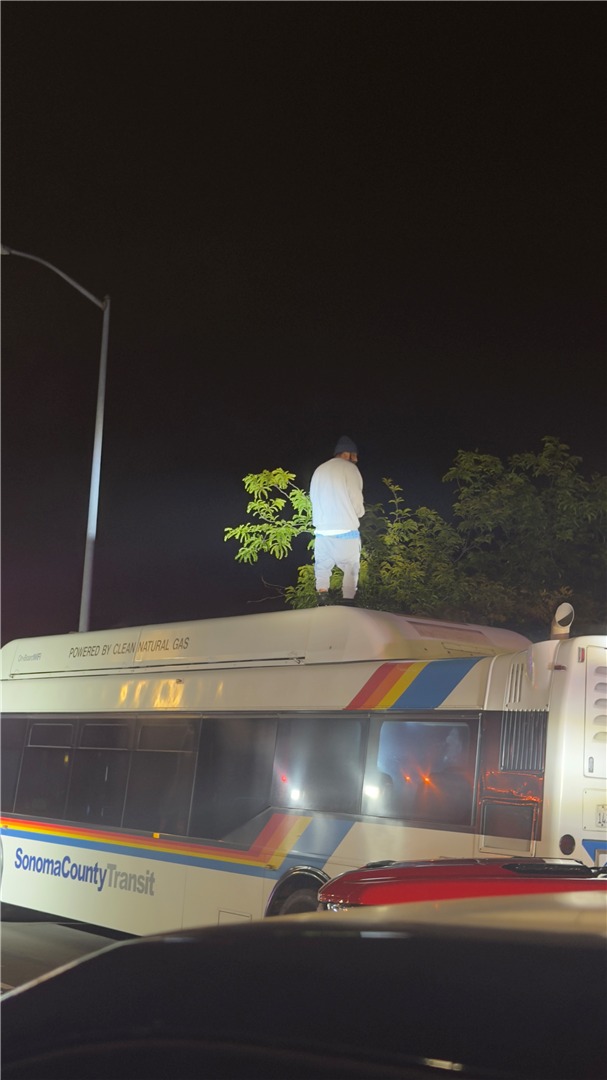 Man detained after standoff atop Sonoma County bus
