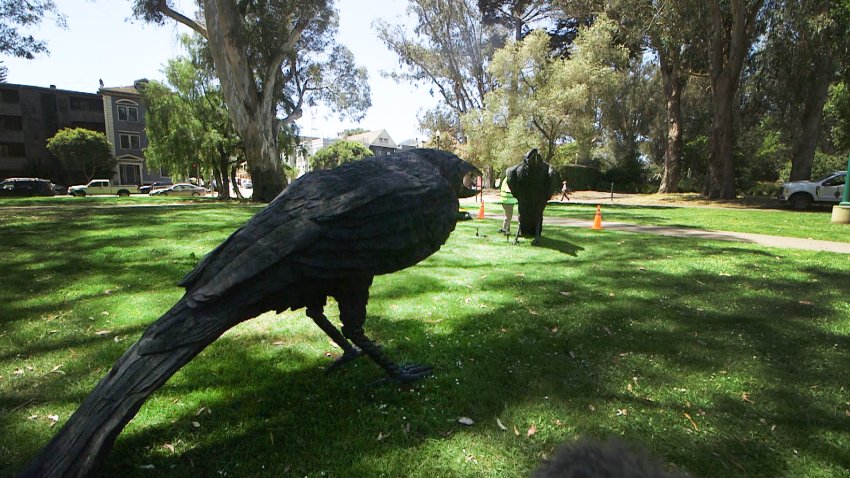 A pair of black bronze crows by artist Jack Champion are installed in San Francisco’s Panhandle near Ashbury as part of the Big Art Loop.