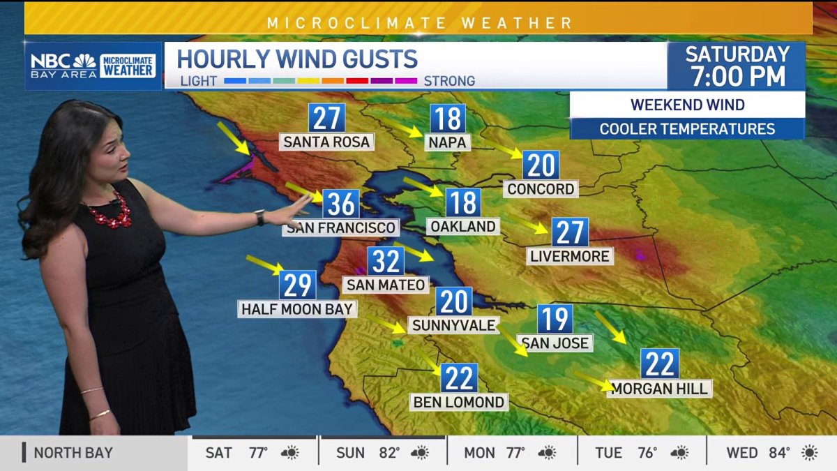 Bay Area Forecast: Mild and windy