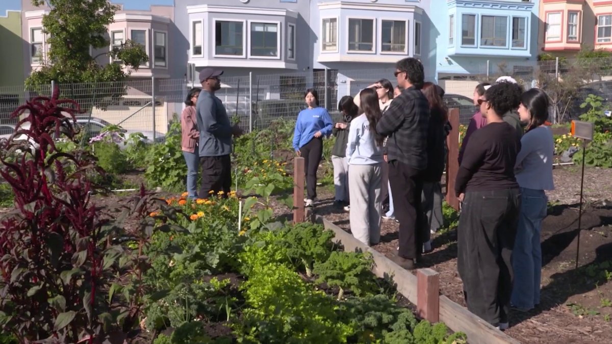 Open Road: Youth groups learn to help environment – NBC Bay Area