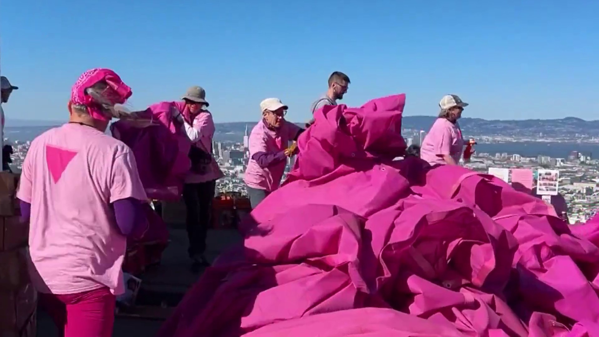「ピンクフリフリフラワー」PINK020　9~13Tフリル ストラップレス Volunteers start dismantling Pink Triangle on Twin Peaks in San