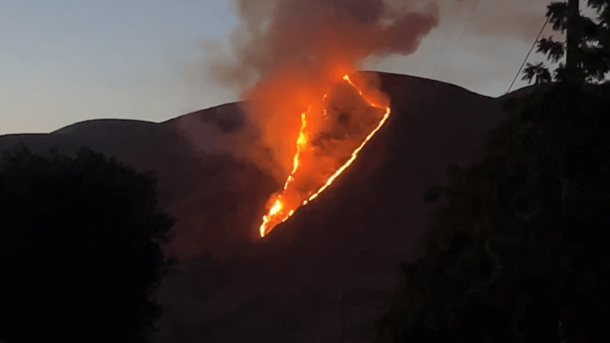 Firefighters battle vegetation fire in San Jose