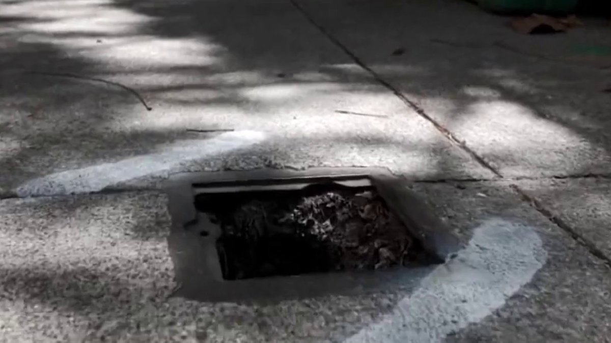 SF neighbors report receiving citations after small sewer grates are stolen Neighbors have been calling the city hoping to have authorities track down the culprit, but instead they're getting cited with orders to replace the grates as soon as possible. By Sergio Quintana • Published 58 seconds ago • Updated 20 seconds ago