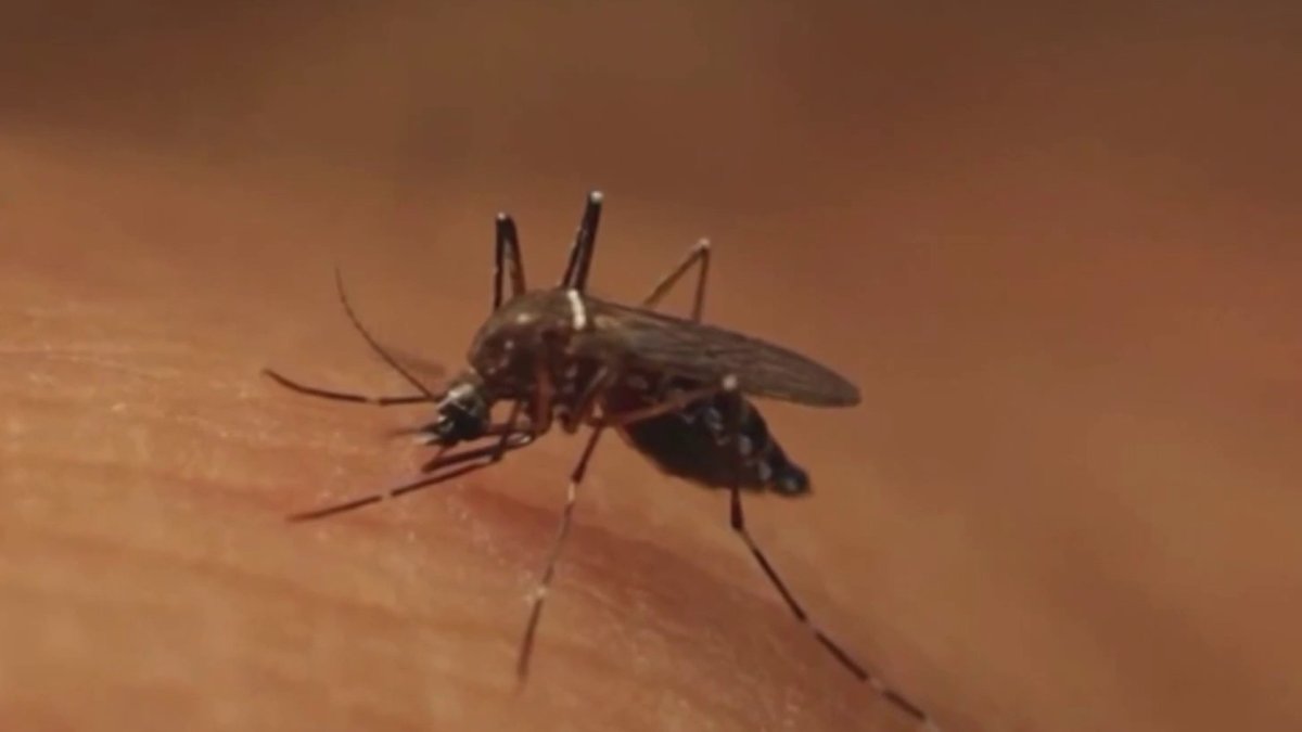 Health officials announce 2 human cases of West Nile Virus in the South Bay