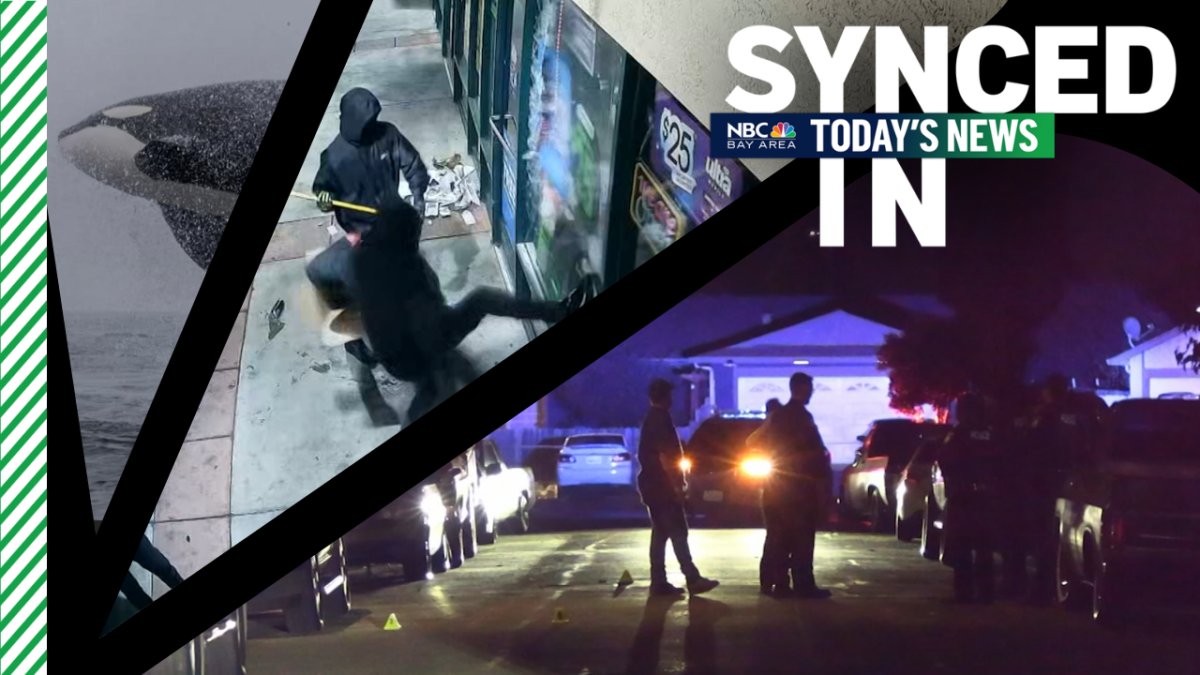 In the news: Homicide investigation, smash-and-grab burglary, orcas launch out of Monterey Bay