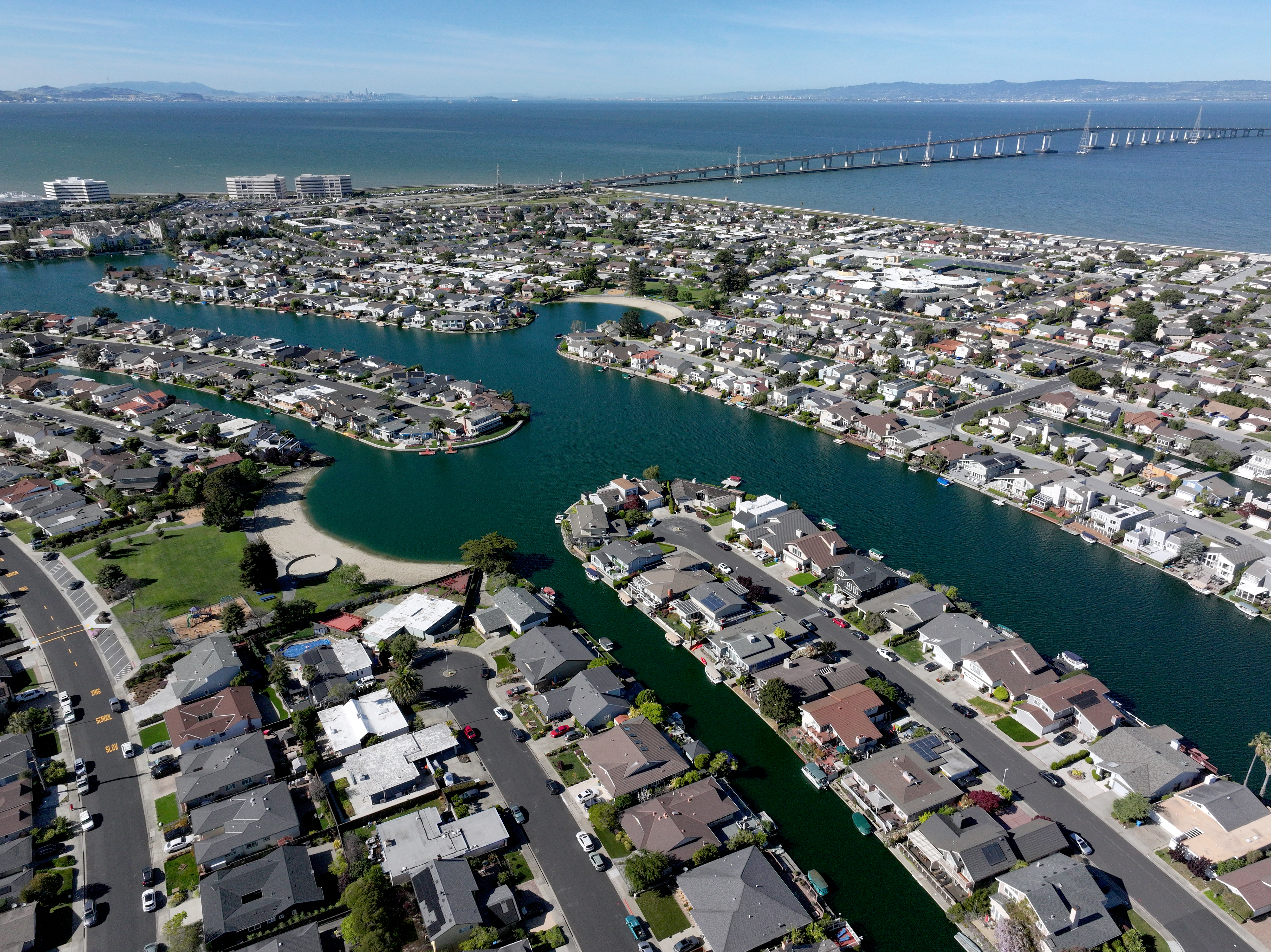 Small marine animal bites swimmer in Foster City Lagoon