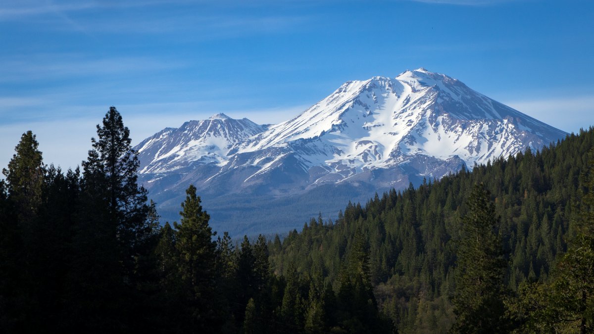 2 U.S. Forest Service employees rescued after being zip-tied, held hostage at gunpoint in California