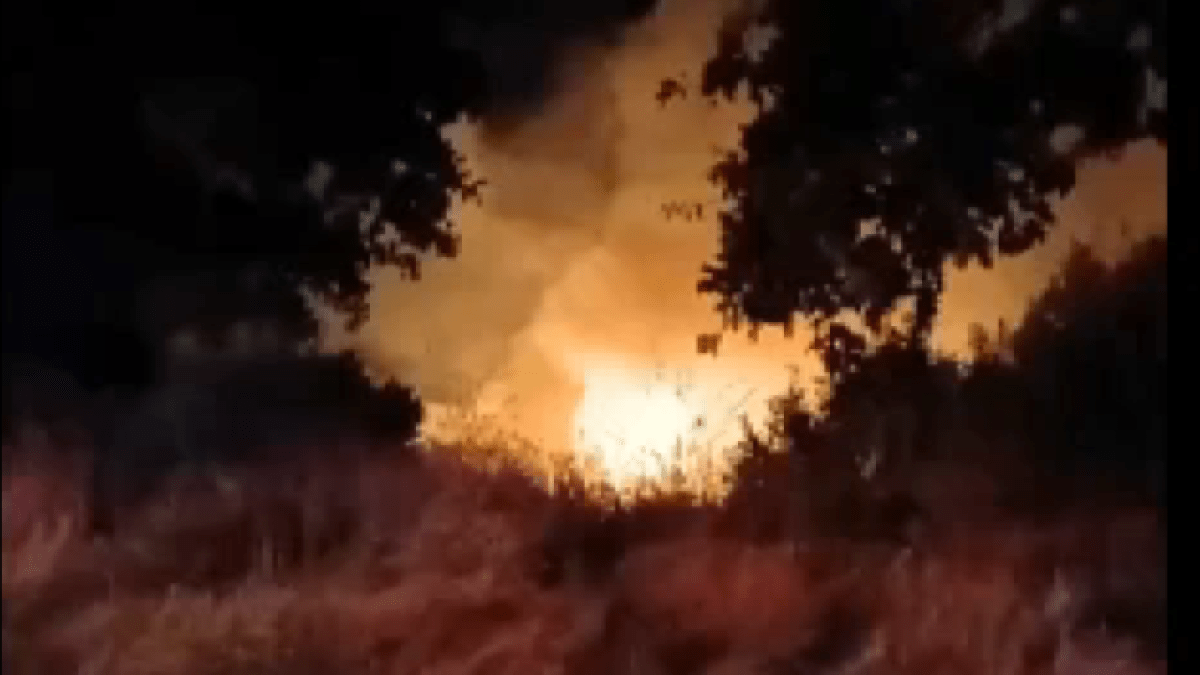 Vegetation fire burns Adobe Loop Trail area in Mountain View
