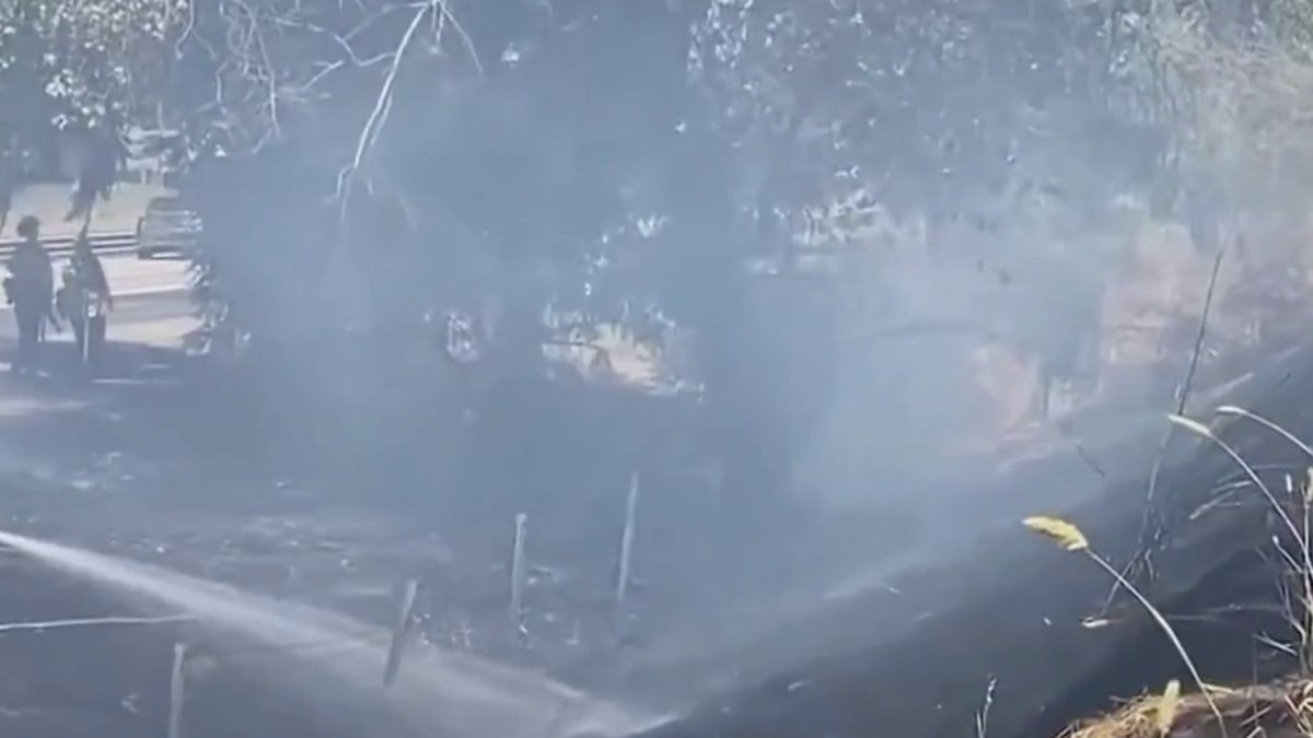 Grass fire in Santa Rosa leads to arrest