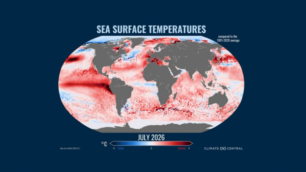 Land and ocean temperatures on the rise around the world
