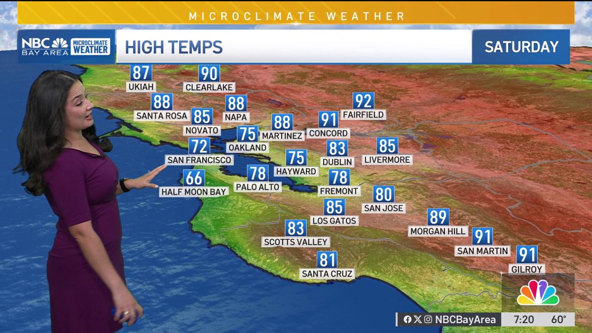 Bay Area Forecast: A few degrees warmer