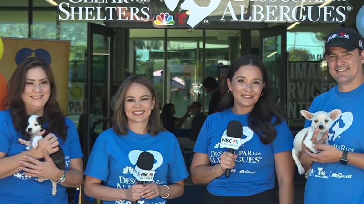 Thank you, Bay Area, for helping us Clear the Shelters