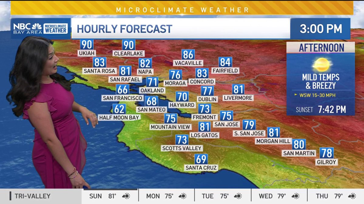 Bay Area Forecast: Comfortable Sunday