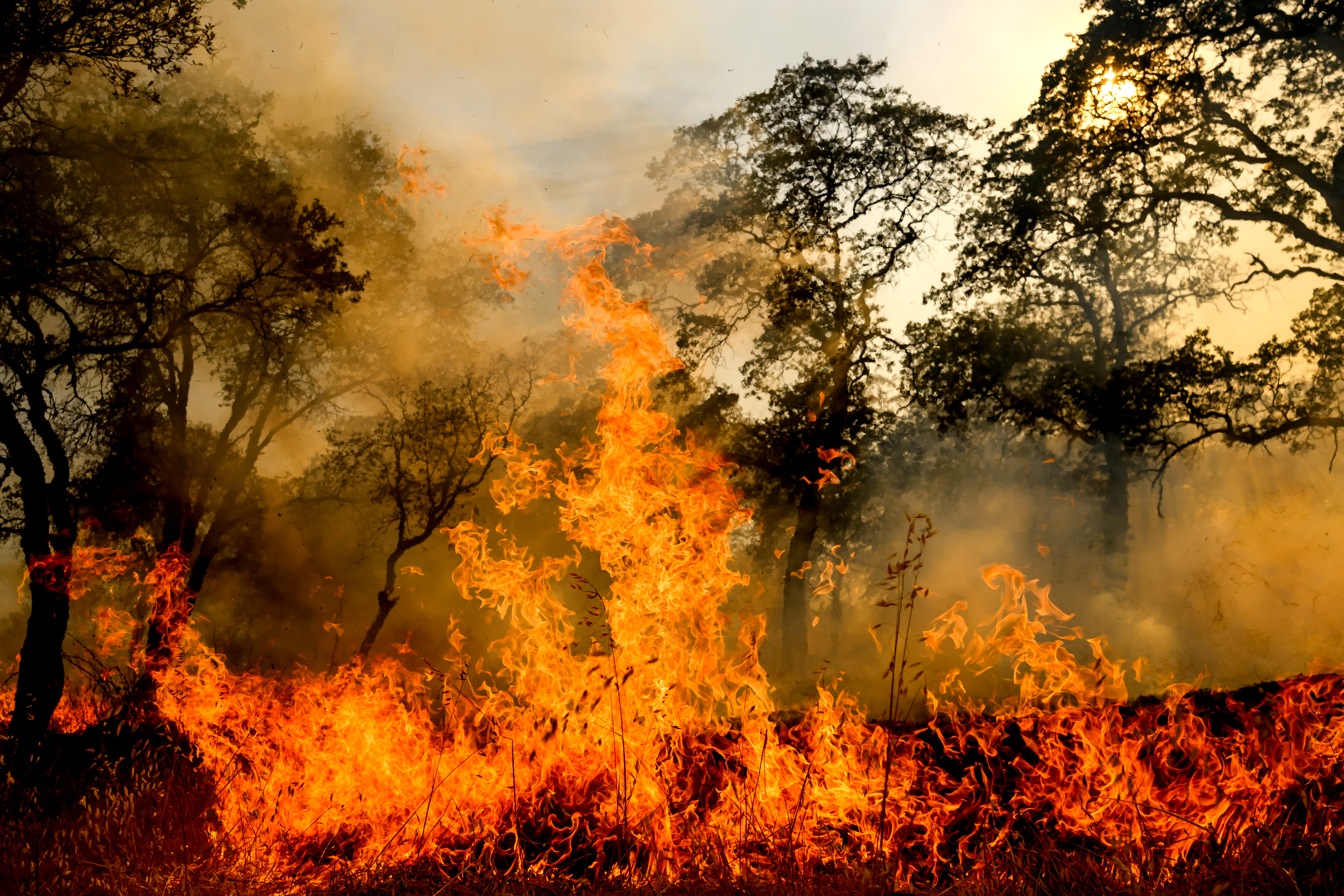 Body found in Calaveras County home burned by wildfire