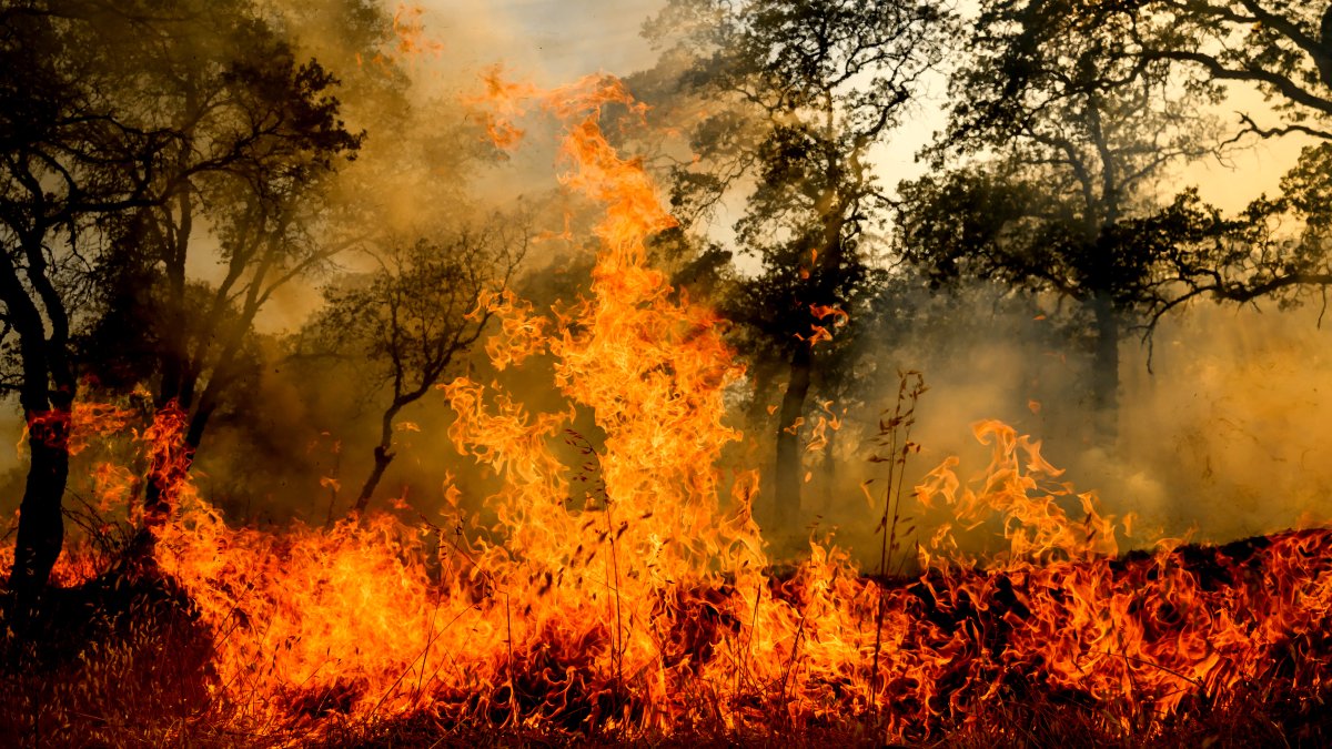 Body found in Calaveras County home burned by wildfire