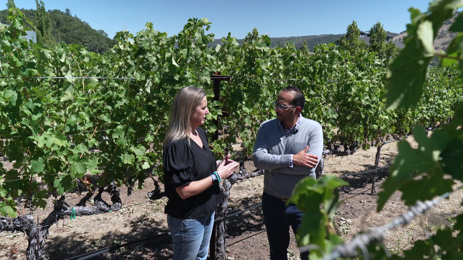 Napa wineries serve up new experiences amid sobering downturn – NBC Bay ...