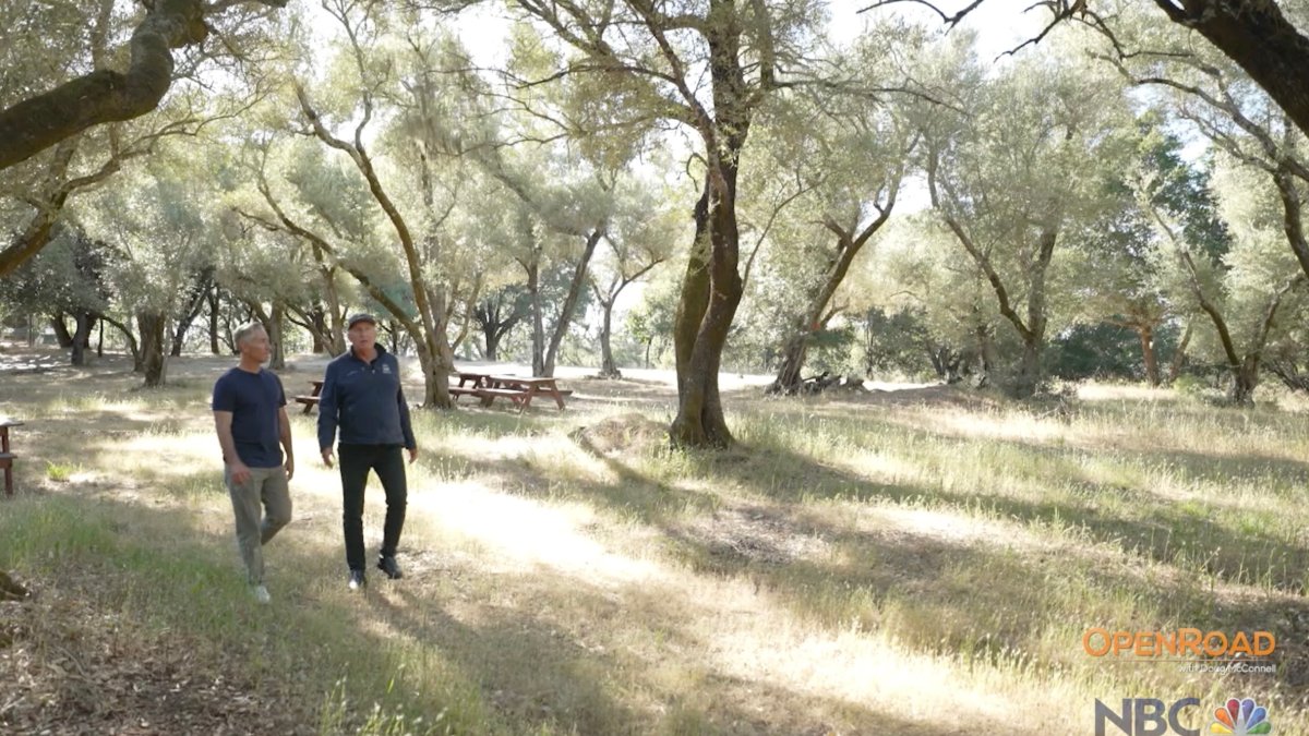 OpenRoad: Carmel River, East Bay woodlands and the unseen universe