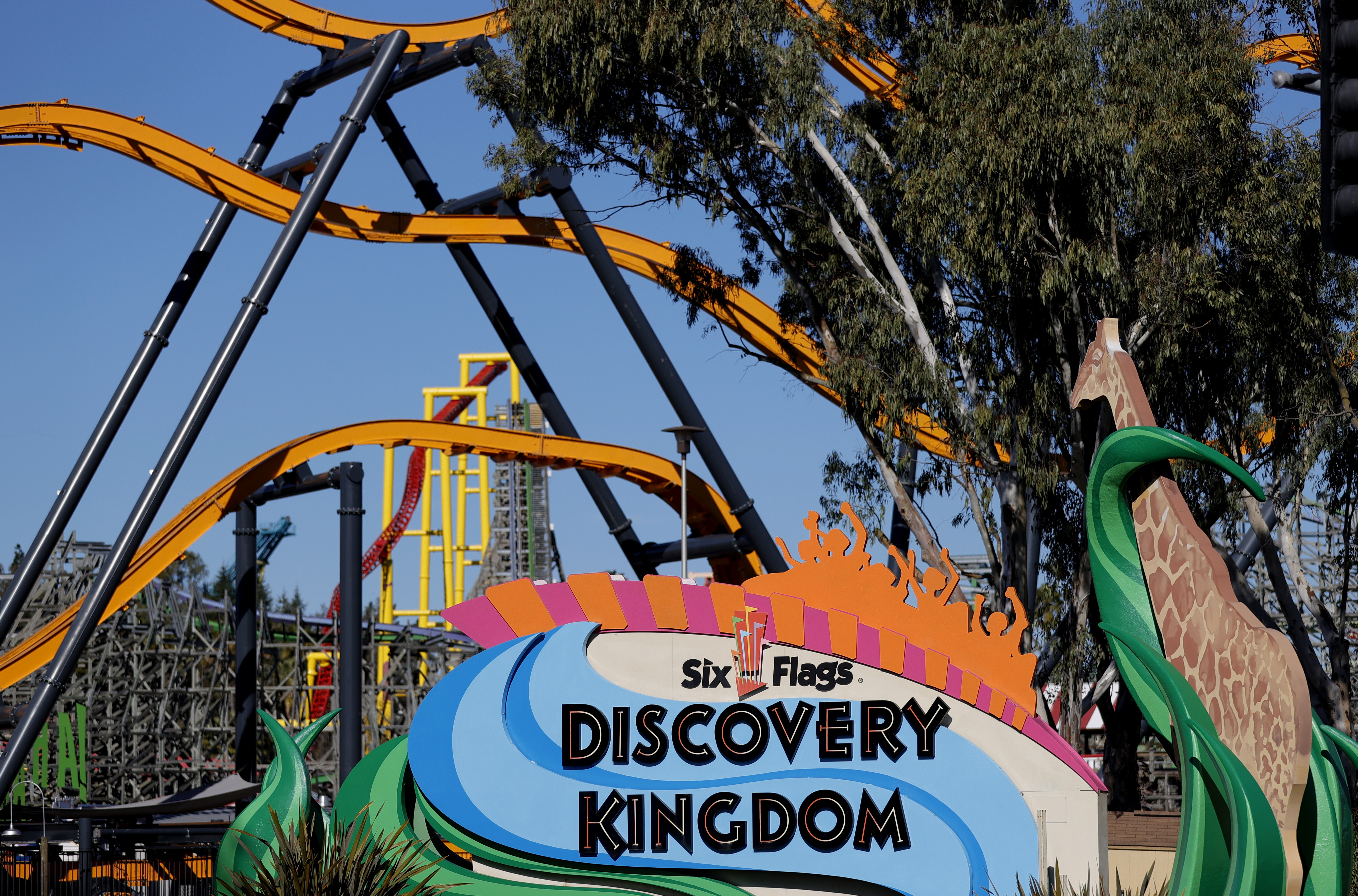 Death of Six Flags Discovery Kingdom dolphin prompts calls to relocate remaining animals