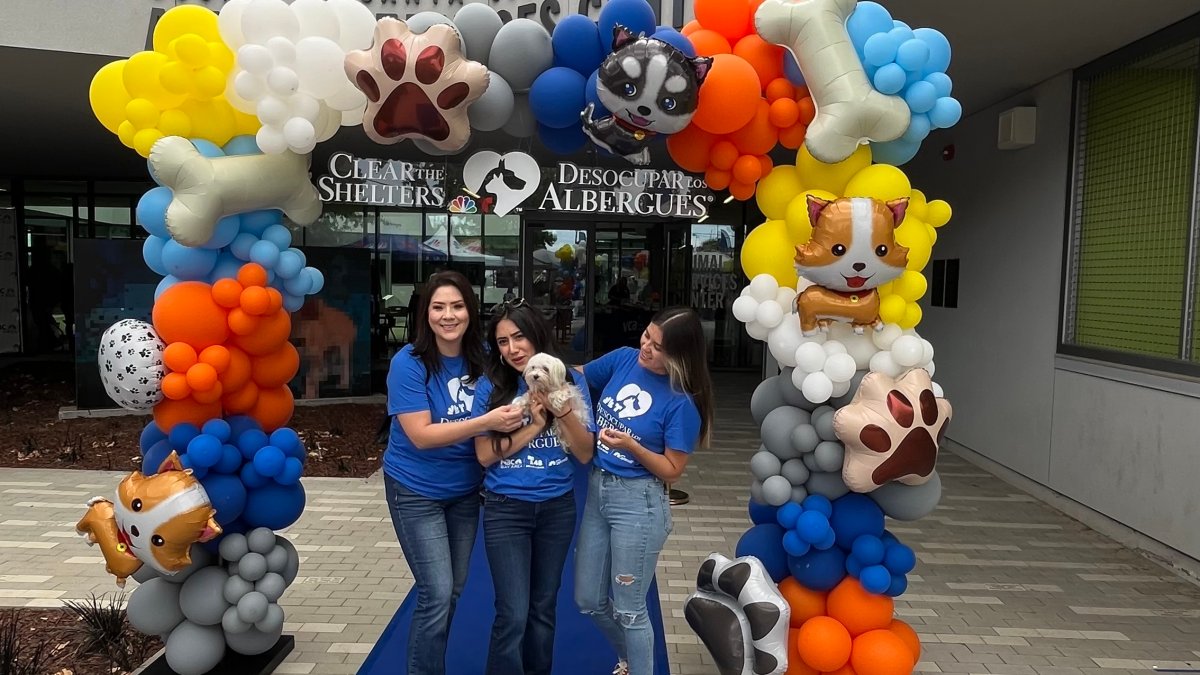 Clear the Shelters at County of Santa Clara Animal Services