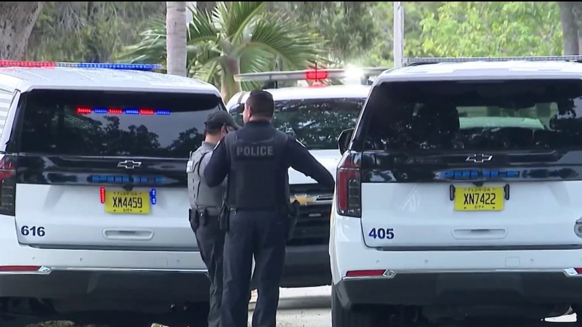Mother and 2-year-old daughter killed by lightning strike in Florida neighborhood