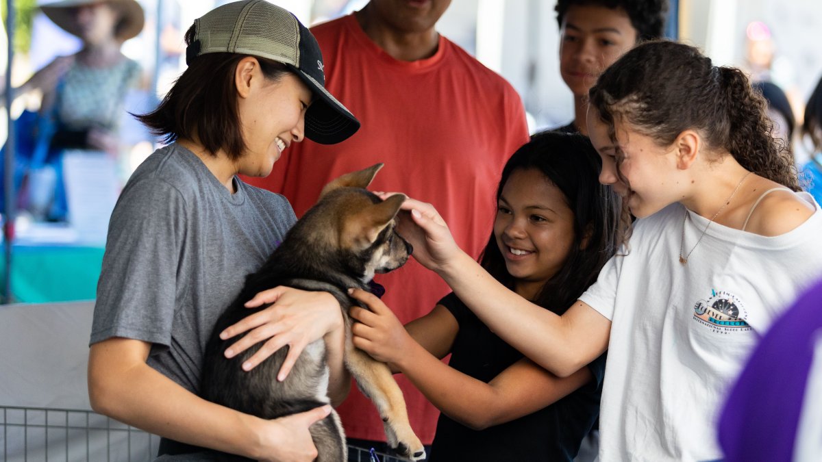 Pet Week Bark & Meow Around the Block: Berkeley’s Day for Pet Lovers – NBC Bay Area