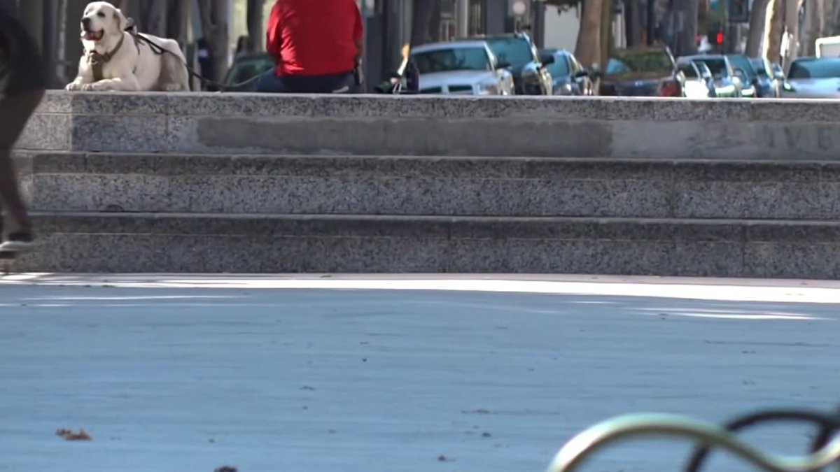 Time running out to pick new name for former Plaza de Cesar Chavez in San Jose
