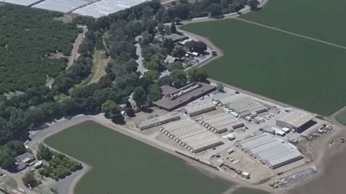 South Bay leaders announce strategy to restrict private detention centers