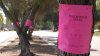 San Jose to remove more dead or dying trees