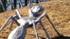 Vandals destroy giant silver ant sculpture along Highway 17 in Campbell