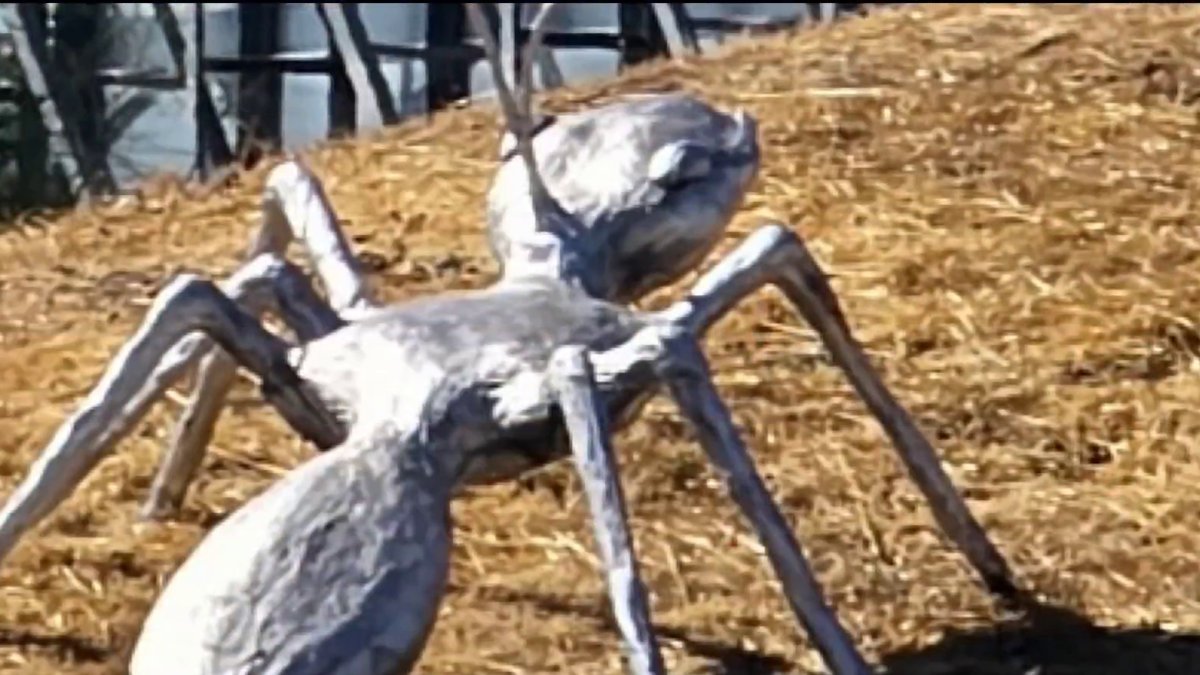 Vandals destroy giant silver ant sculpture along Highway 17 in Campbell