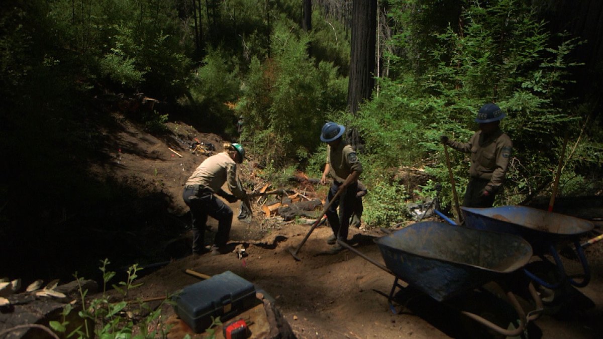Crews work to restore Big Basin trails following massive fire