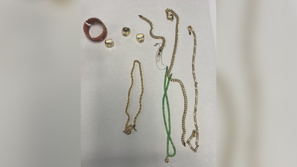 San Jose police arrest alleged strong-armed jewelry thieves