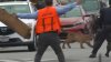 Mountain lion captured in San Francisco's Outer Sunset