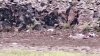 2 dead, 1 missing after catastrophic Grand Canyon flash floods