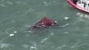 Police will not raise boat that capsized in San Francisco Bay