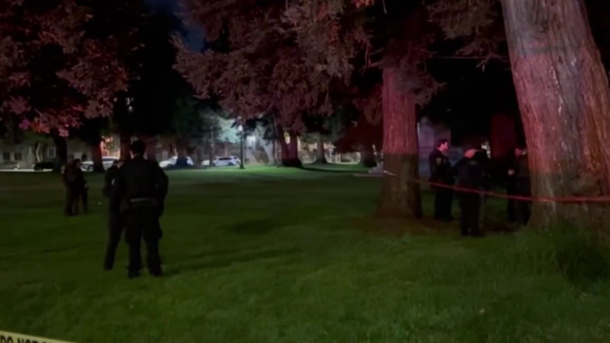 Authorities investigate another possible mountain lion sighting in San Francisco