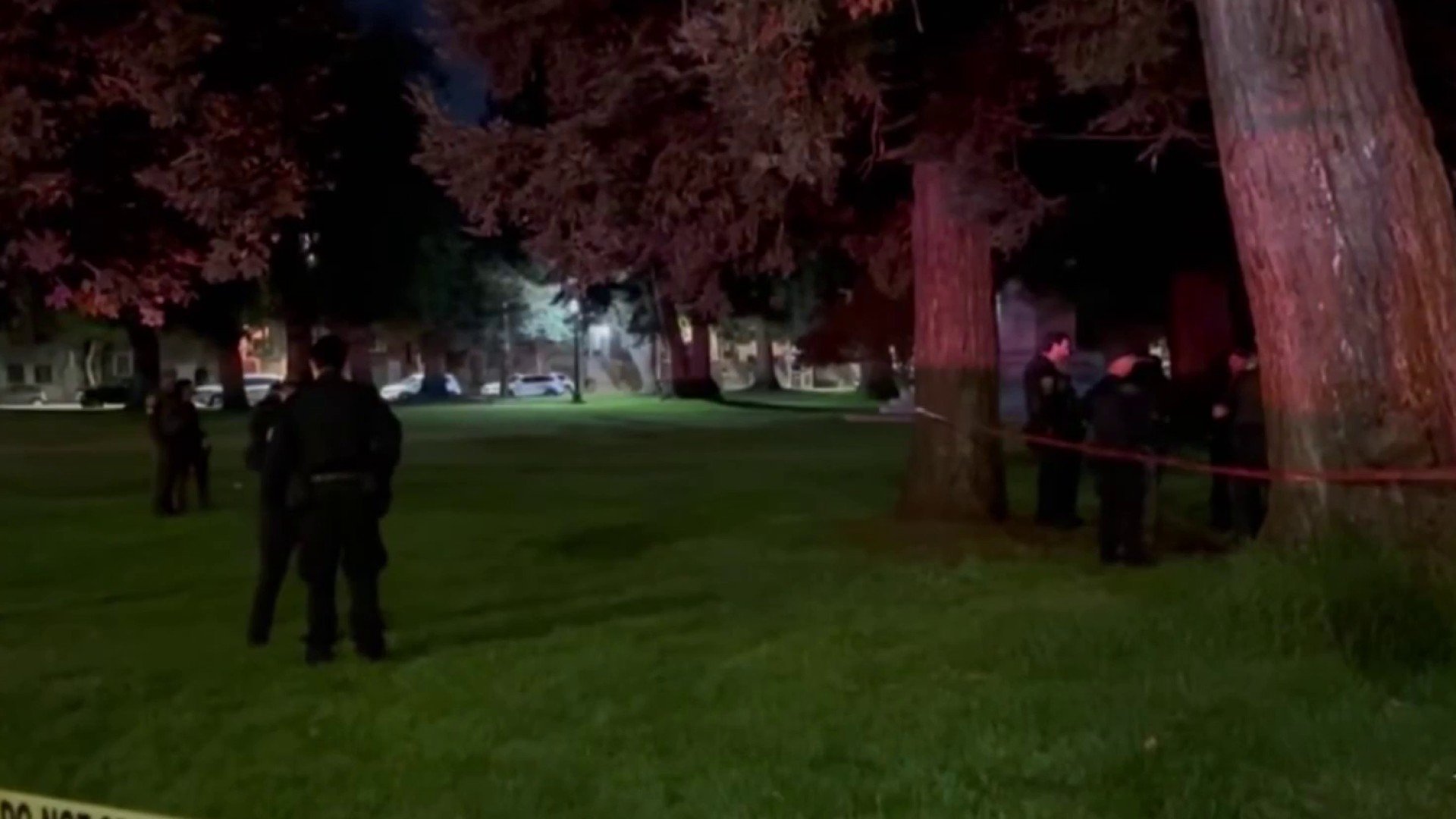 Authorities investigate another possible mountain lion sighting in San Francisco