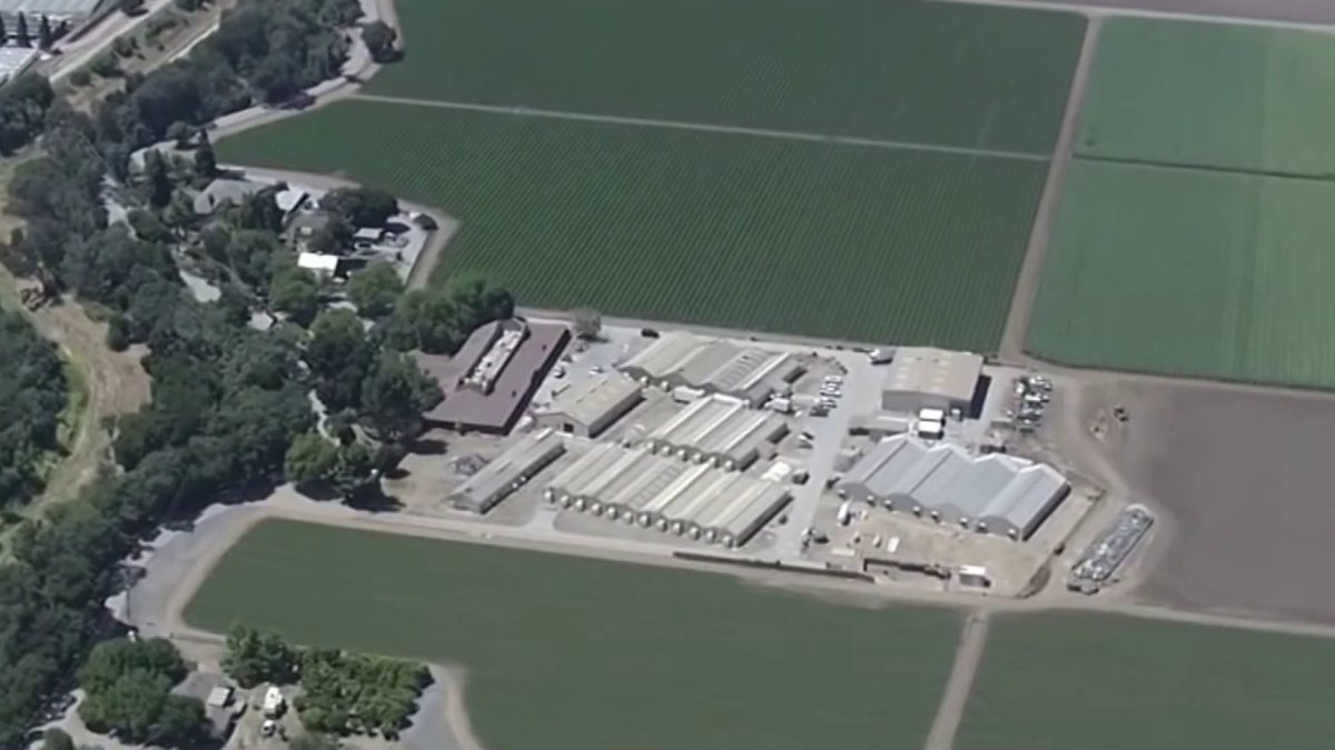 Judge extends construction pause on proposed Gilroy ICE detention center