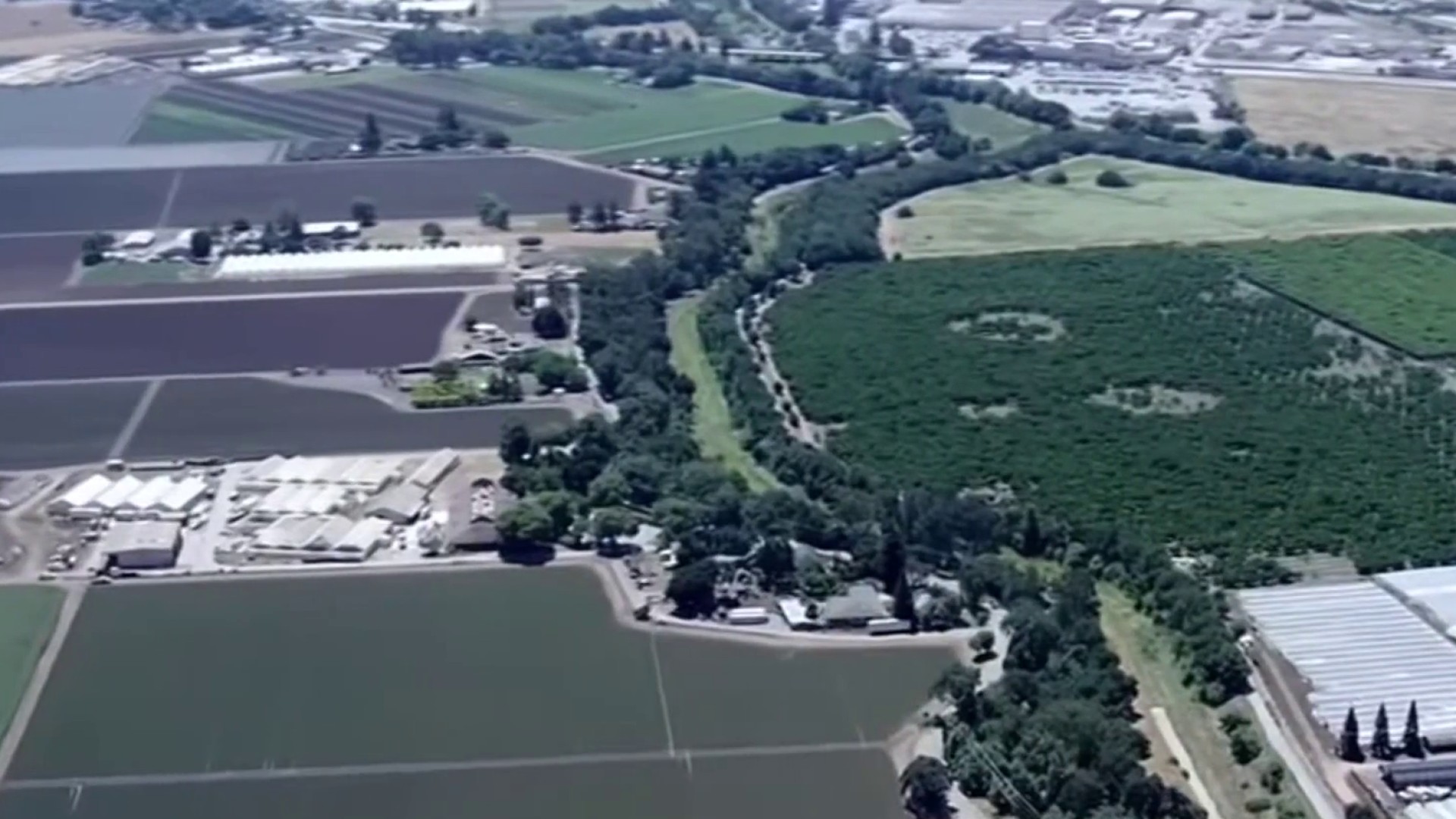 nbcbayarea.com - Marianne Favro - Judge orders ICE to halt construction of proposed detention facility near Gilroy