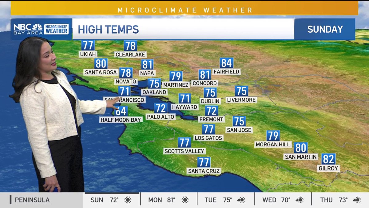 Bay Area Forecast: Mild, breezy and hazy