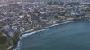 Capitola woman says she was attacked by a sea lion