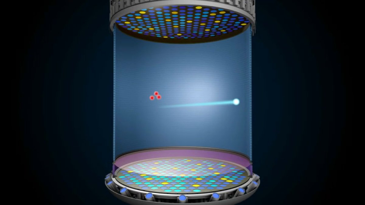 Did we find dark matter? Here's how a Bay Area lab is helping with the possible breakthrough