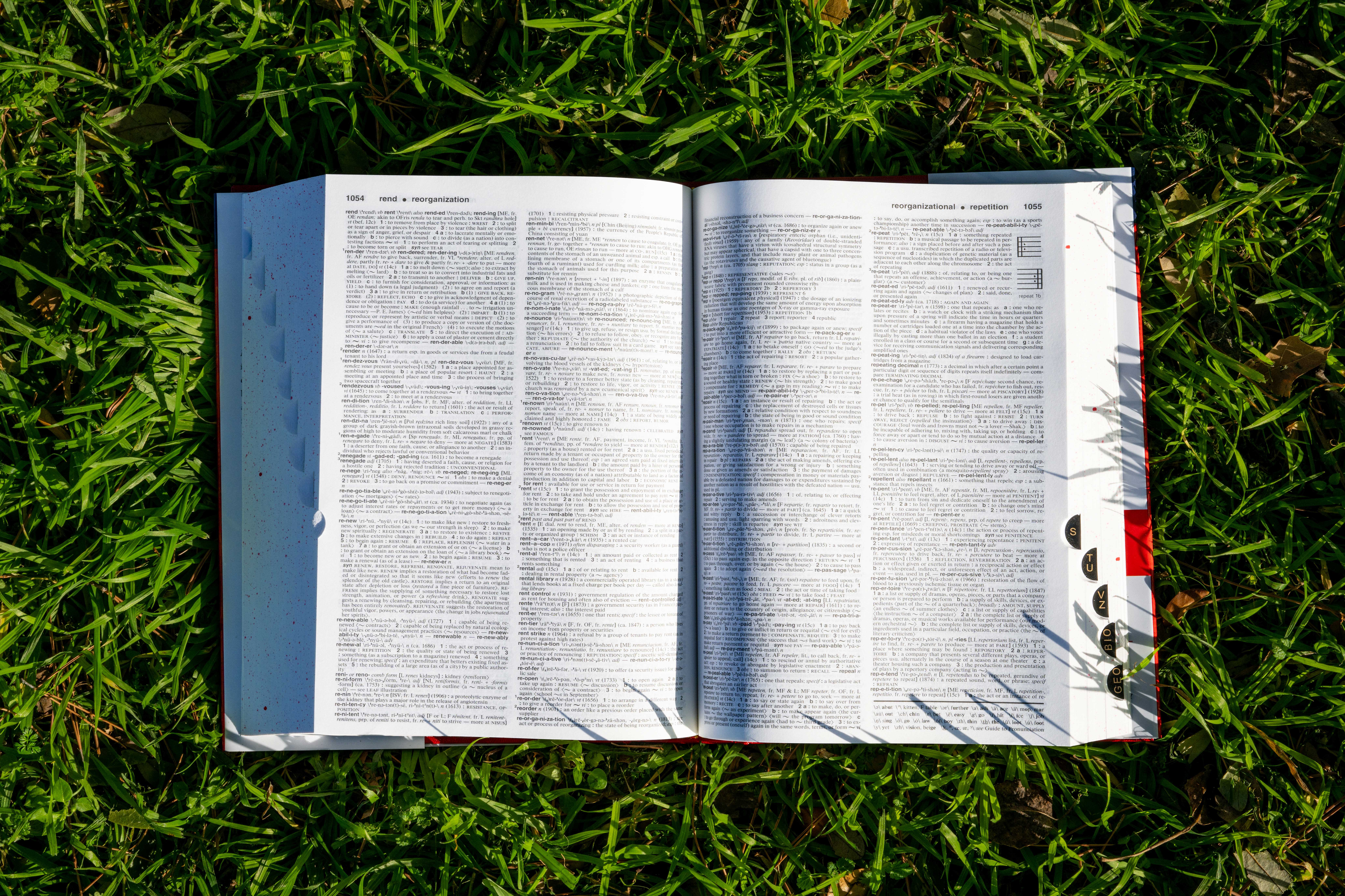 Merriam-Webster adds 1,400 new words and definitions – NBC Bay Area