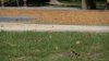 Less grass, more bark coming to city parks across California