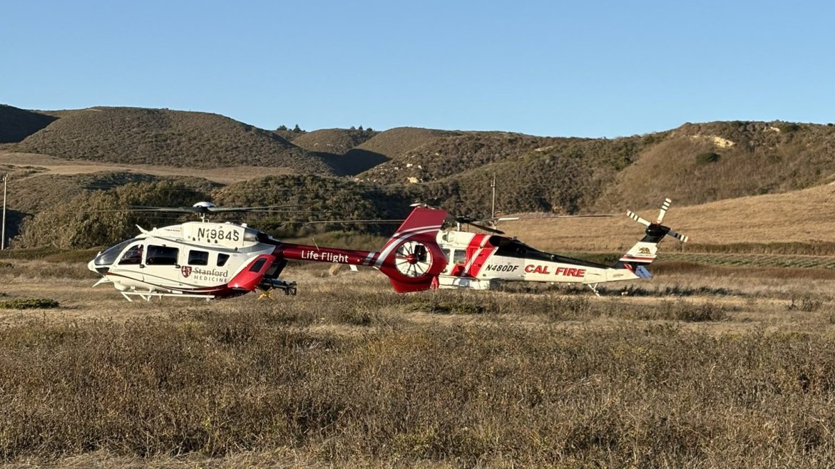 Person rescued after falling off cliff near Panther Beach in Santa Cruz – NBC Bay Area
