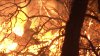 Lucas Fire grows to 4,008 acres with 20% containment near Lake-Mendocino County line