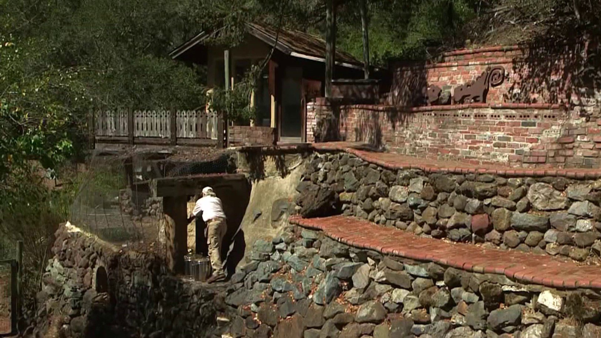 Tea importer forced to vacate Marin County compound after decades-long code battle