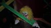 The Bernal Scream haunted house returns to San Jose